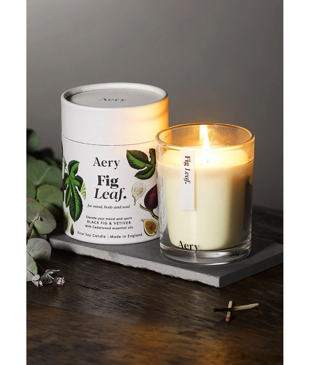 Dark Slate Gray Botanical Soy Candle Bonsai Tree,Citrus Tonic,Fig Leaf Aery Living