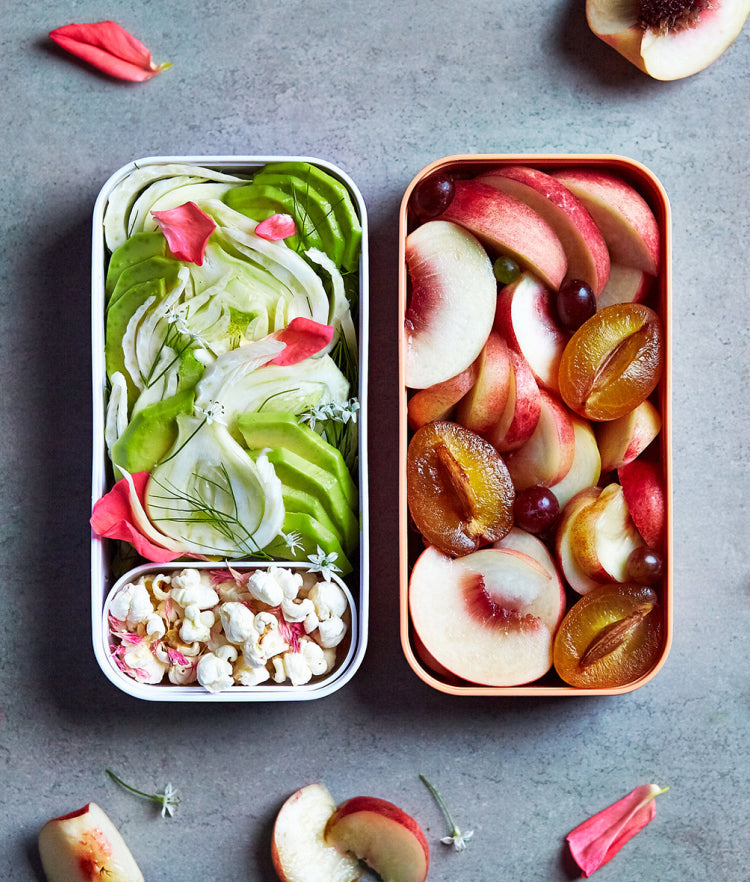 Gray Monbento Original Lunch Box Natural Green,Cotton,Lagoon,Tropical Monbento